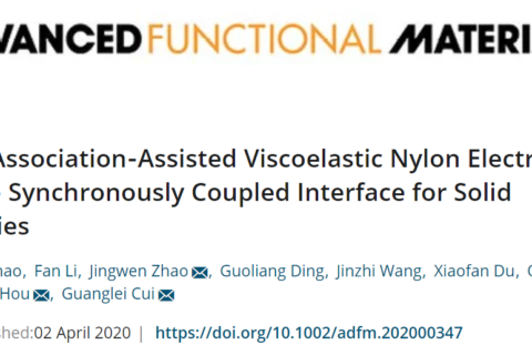 尼龍基高粘彈性聚合物固態(tài)電解質(zhì)！