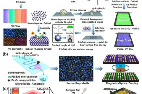 南京工業(yè)大學(xué)陳蘇教授課題組研究成果集錦