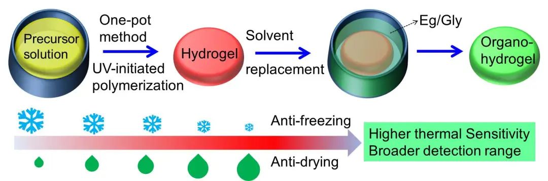 中山大學吳進《ACS AMI》：基于熱穩(wěn)定、自修復有機水凝膠的高靈敏、可拉伸溫度傳感器