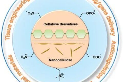從天然生物活性多糖到纖維素基離子化合物！《AM》綜述：纖維素基離子化合物在生物材料領域的研究進展