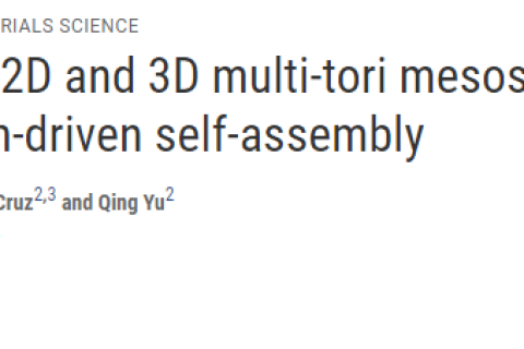 利用結晶驅動組裝技術制備2D和3D的多環(huán)結構