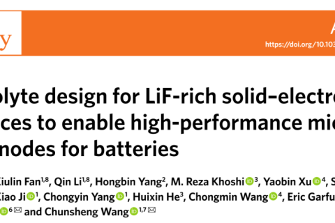 王春生《自然·能源》富LiF新型電解液的設(shè)計助力高性能微米級合金陽極電池