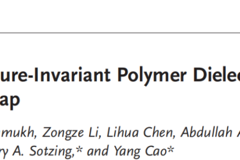 所見最佳柔性聚合物電介質(zhì)，適用于極端環(huán)境！