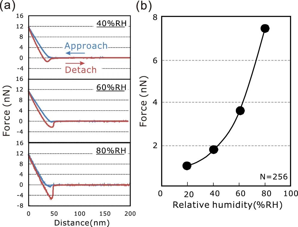 生活處處是科學(xué)，科學(xué)家揭示毛巾晾干為什么會(huì)變硬？