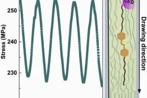 ?Matter最新研究：就這么簡單，柔性聚合物拉一拉就變剛性致動器