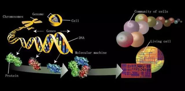 Science發(fā)布：全球前沿頂級(jí)挑戰(zhàn)課題125項(xiàng)