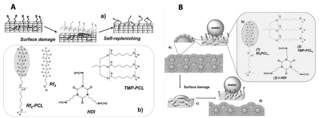 自修復防污材料的最新研究進展