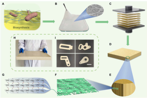 中科大俞書宏院士團隊：又輕、又強、又韌、又尺寸穩(wěn)定的纖維素基結構材料