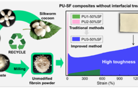 武漢紡織大學徐衛(wèi)林教授團隊《ACS AMI》：廢棄蠶絲再遇聚氨酯