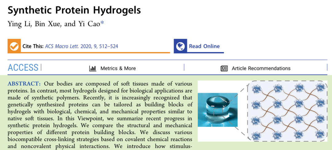 ?南京大學曹毅團隊: 合成蛋白水凝膠的最新進展