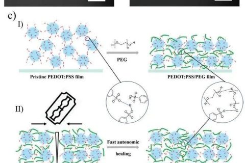 《AFM》：加點PEG，導電高分子實現(xiàn)自修復！