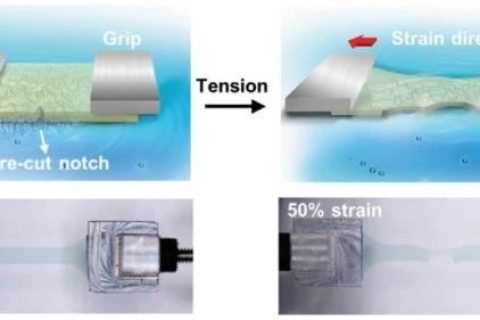 史上最柔！新型抗撕裂、自愈合柔性半導(dǎo)體！