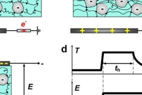 哈佛大學(xué)鎖志剛院士團(tuán)隊(duì)：用這種方法，可伸縮駐極體儲(chǔ)存電荷60天