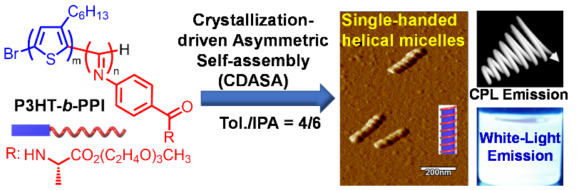 合工大吳宗銓教授《Angew》:結(jié)晶驅(qū)動嵌段共聚物不對稱自組裝以及聚集誘導(dǎo)白光和圓偏振光發(fā)光