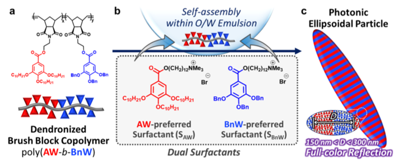 Tim Swager院士《JACS》：全光譜轉(zhuǎn)換的橢球形聚合物光子晶體粒子！