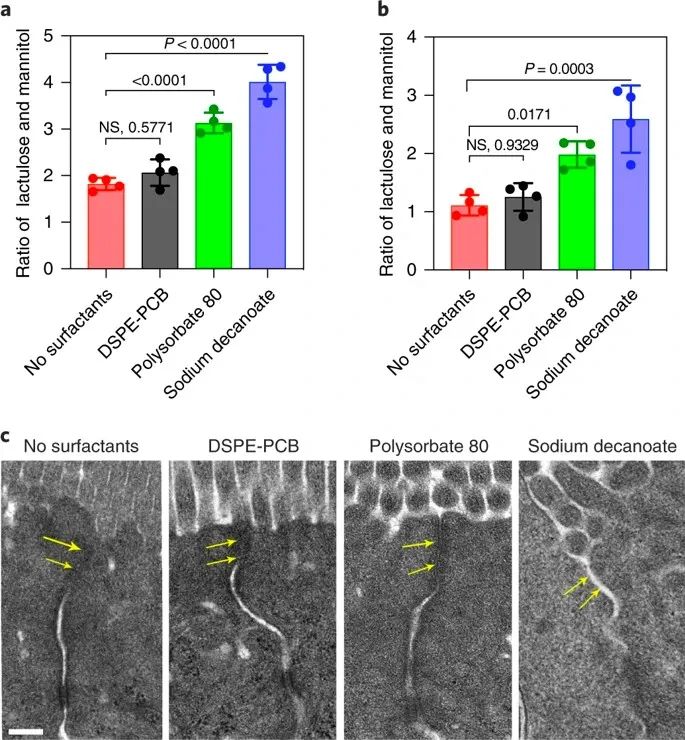 美國(guó)韋恩州立大學(xué)曹智強(qiáng)《Nat.Nanotech.》:高效口服胰島素問(wèn)世，兩性膠束遞送胰島素?zé)o需打開(kāi)緊密連接