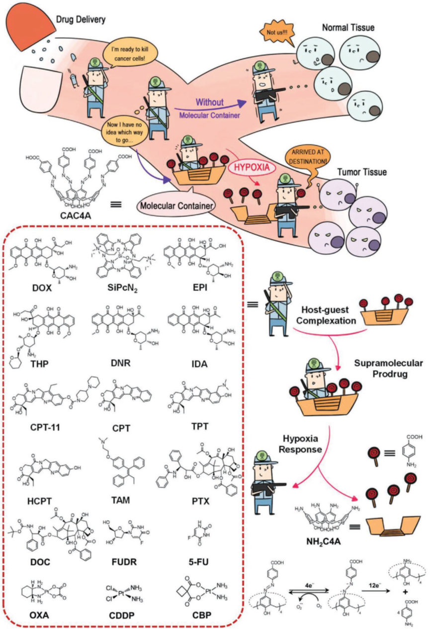 史林啟/劉陽/郭東升《先進(jìn)材料》：以低氧敏感超分子作船，載藥劃向腫瘤