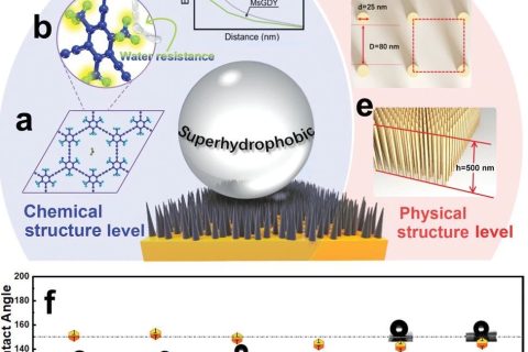 中科院青能所黃長(zhǎng)水《Small》：超穩(wěn)定超疏水石墨炔陣列，800天接觸角基本無(wú)變化！