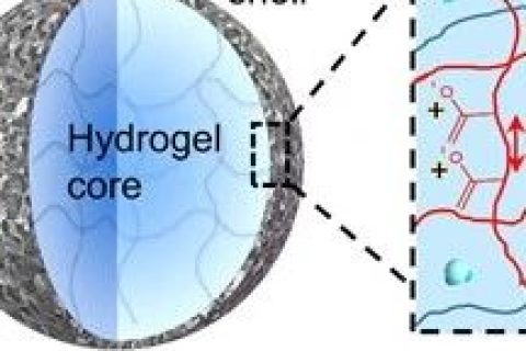 佐治亞理工謝興團(tuán)隊：高分子復(fù)合材料實現(xiàn)自驅(qū)動膜分離過程