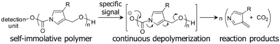 《JACS》： 像解拉鏈一樣輕松，聚合物30分鐘解聚為小分子