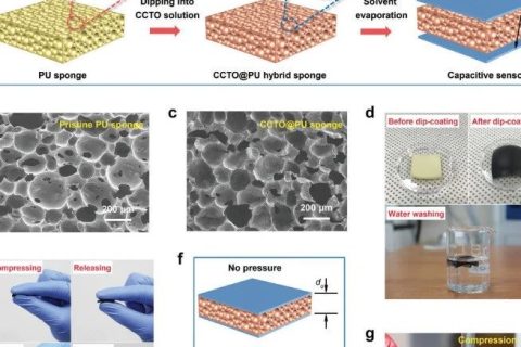 挑戰(zhàn)靈敏度極限！《AFM》：用于超高靈敏度壓力和應(yīng)變電容傳感器的泡沫復(fù)合介電材料