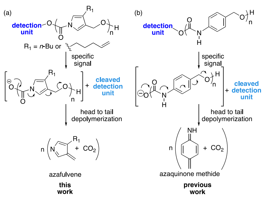 《JACS》： 像解拉鏈一樣輕松，聚合物30分鐘解聚為小分子