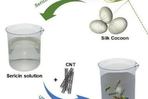 清華大學(xué)張瑩瑩團隊《先進(jìn)材料》：絲膠蛋白助力碳納米管電子墨水的制備