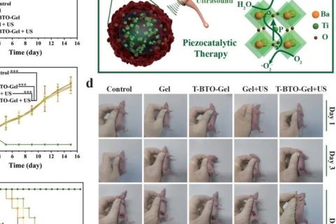施劍林院士、陳雨研究員《先進材料》：超聲引發(fā)鈦酸鋇壓電性用于無創(chuàng)壓電催化腫瘤療法