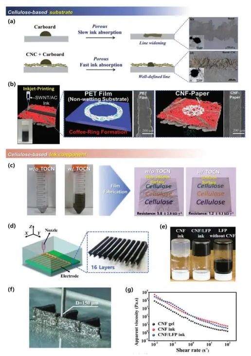 《先進(jìn)材料》綜述：為什么要用纖維素？纖維素基電化學(xué)儲(chǔ)能器件的優(yōu)勢(shì)何在？