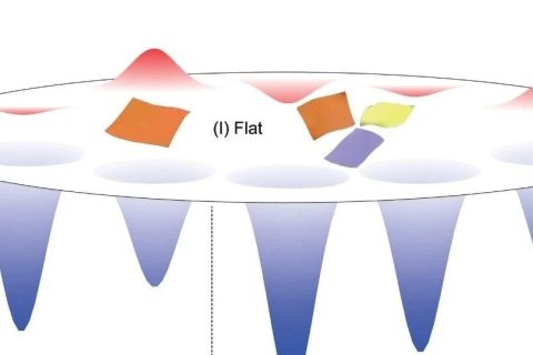 浙江大學(xué)許震、高超與清華大學(xué)徐志平合作《Matter》：?jiǎn)螌友趸┠Ｐ完U明二維大分子溶液構(gòu)象之謎