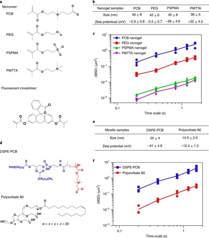 美國(guó)韋恩州立大學(xué)曹智強(qiáng)《Nat.Nanotech.》:高效口服胰島素問(wèn)世，兩性膠束遞送胰島素?zé)o需打開(kāi)緊密連接