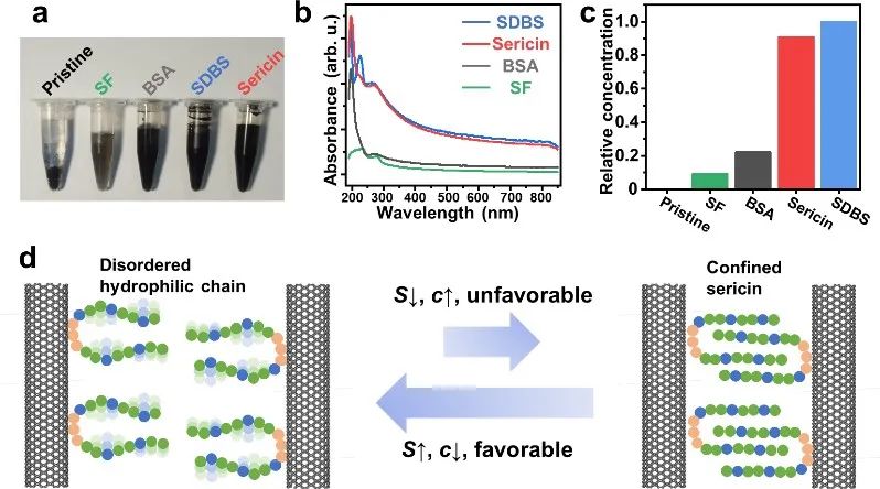 清華大學張瑩瑩團隊《先進材料》：絲膠蛋白助力碳納米管電子墨水的制備