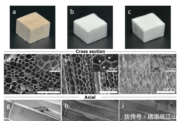 高度多孔、強(qiáng)韌的各向異性纖維素氣凝膠-1