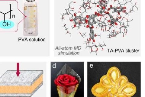 超越天然蛛絲！超高強度、極高韌性的超分子聚合物材料