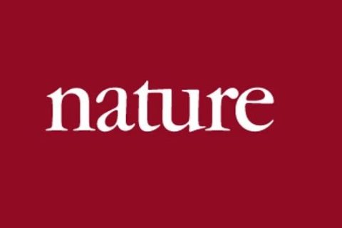 《Nature》子刊：注射這種光敏性聚合物納米粒子，成功恢復(fù)盲鼠視力