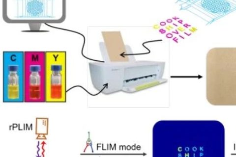 復旦大學王旭東《JACS》：三級加密！新一代發(fā)光防偽技術！