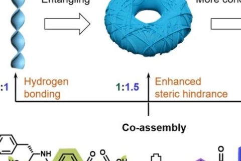 上海交通大學馮傳良/邱惠斌《AFM》：多級次手性超分子自組裝