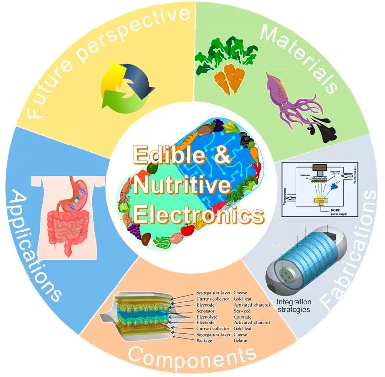 五邑大學(xué)巫瑩柱副教授與亞利桑那州立大學(xué)姜漢卿教授綜述：可食用、有營養(yǎng)電子器件：材料、制備方法、器件和應(yīng)用