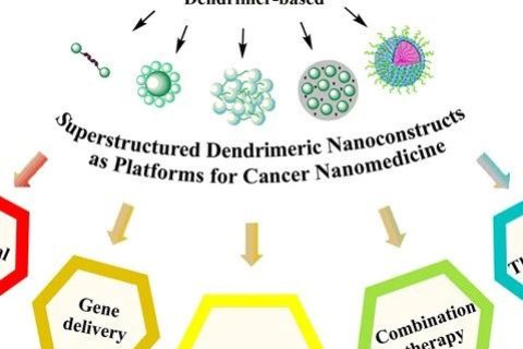 基于超結構樹狀大分子的納米平臺在癌癥納米醫(yī)學中的應用進展