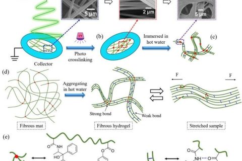 微納米纖維“邂逅”溫敏水凝膠，實現(xiàn)水下超快自恢復(fù)性能