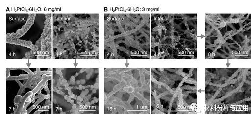 北京科技大學(xué)等《ACS Appl. Electron. Mater.》：使用碳納米管支架開發(fā)彈性，堅固和高度多孔的金屬泡沫