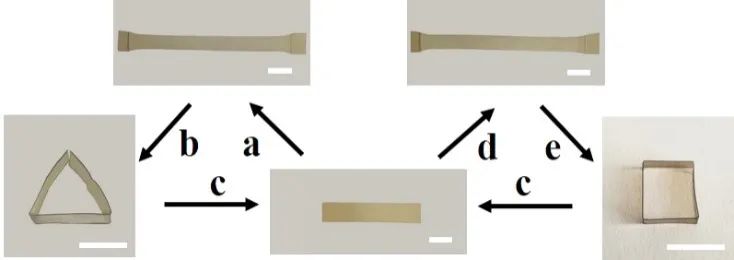 浙江大學(xué)計(jì)劍、沈介澤：透過現(xiàn)象用本質(zhì)！一種受高分子粘彈性啟發(fā)的形變策略