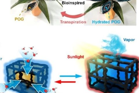 寧波材料所陳濤團隊《Angew》：受鐵蘭啟發(fā)的仿生有機凝膠進行大氣水分收集！