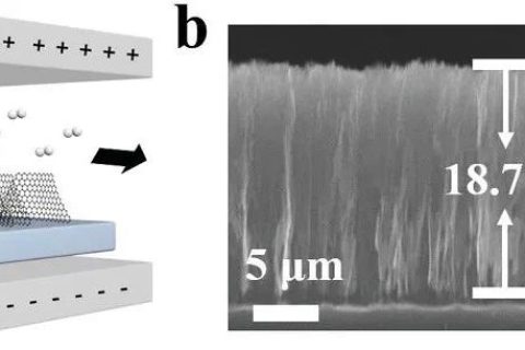 北京大學(xué)張錦院士團(tuán)隊(duì)：垂直排列的石墨烯陣列！散熱技術(shù)新突破