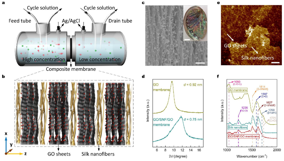 中科院理化所聞利平《ACS Nano》：仿生蠶絲交聯(lián)復合膜實現(xiàn)高效滲透能收集