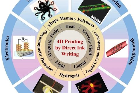 哈爾濱工業(yè)大學冷勁松教授團隊《Adv.Sci.》：直寫4D打印技術研究進展