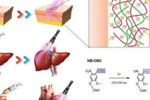 液體繃帶！具有強(qiáng)大組織粘合力、出色的止血、抗菌性能