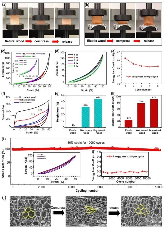 ?胡良兵/李騰《ACS Nano》：彈性木材！歷經(jīng)萬次壓縮，性能如初！