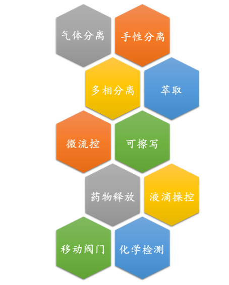 廈門大學侯旭課題組綜述：液基多孔膜，微納孔道藏世界，液體門控通乾坤！