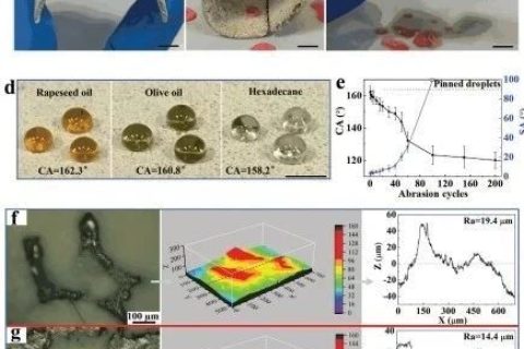 清華大學(xué)鄭泉水院士團(tuán)隊《AFM》：耐磨損、耐沖擊、自清潔的超疏水/超疏油微納復(fù)合材料